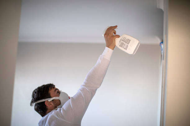 Home Mold Removal in Marion, OH