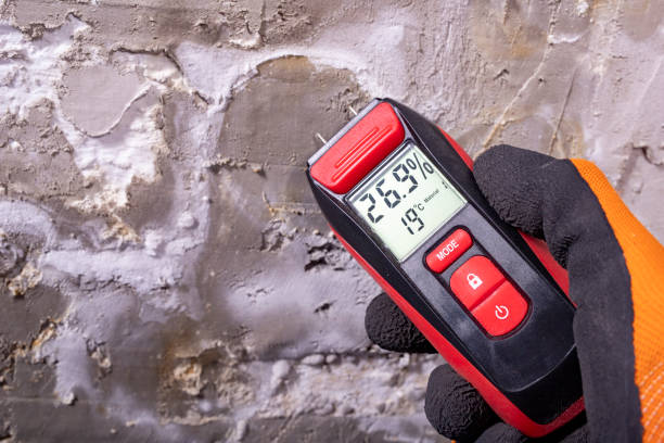Best Water Damage Restoration  in Marion, OH