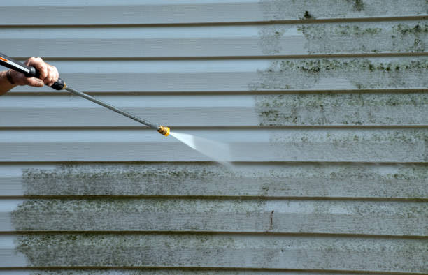 Best Mold Remediation Services  in Marion, OH