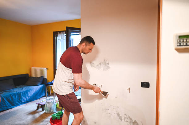 Best Same-Day Mold Removal  in Marion, OH