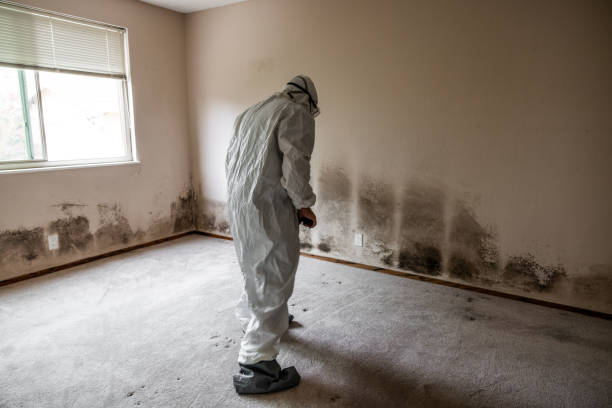 Best Mold Testing  in Marion, OH