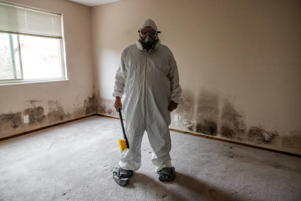 Best Mold Testing and Removal  in Marion, OH